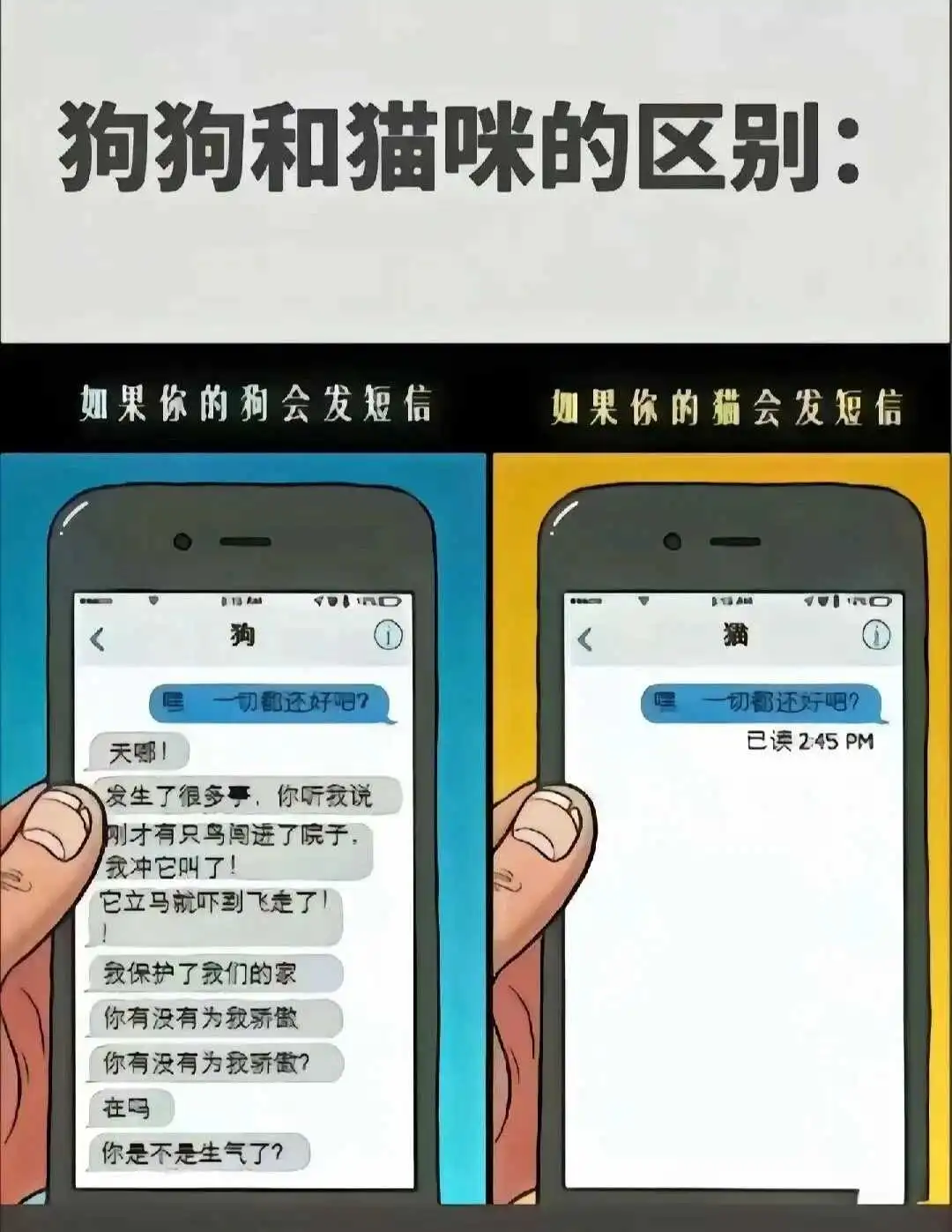西檬之家sm亚文化是什么? 一