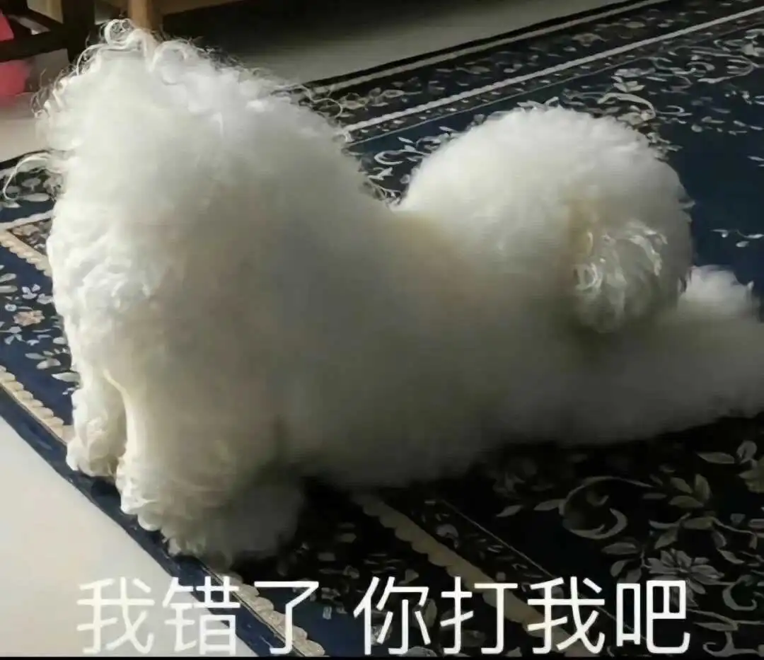 西檬之家圣水是什么?字母圈新人的入门科普 一
