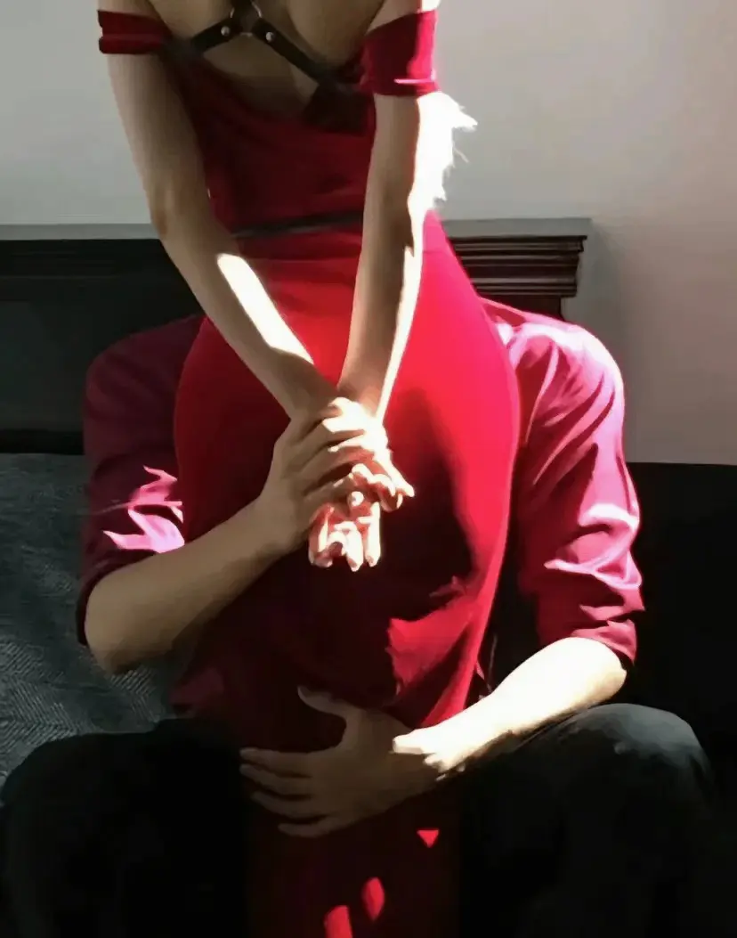 西檬之家K9犬系是什么? 一