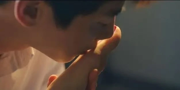 西檬之家k9是什么? 一