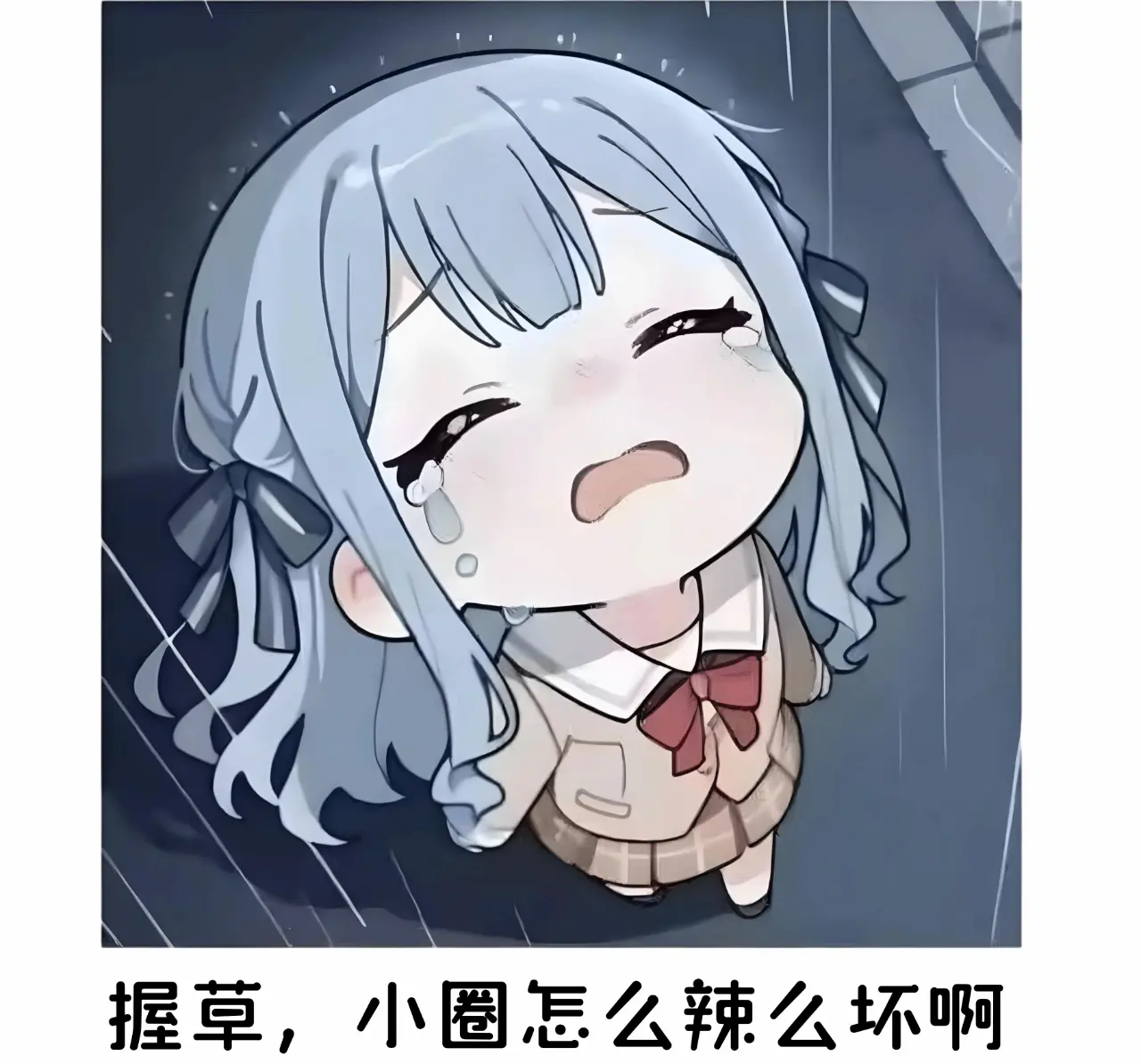 西檬之家k9是什么?字母圈新人必读 一
