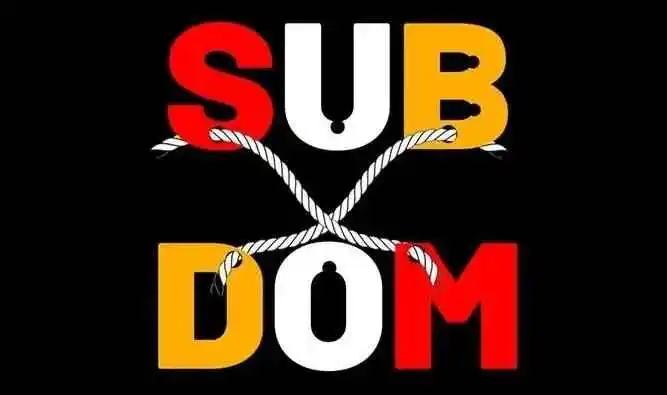 西檬之家BDSM入圈新人指南 一