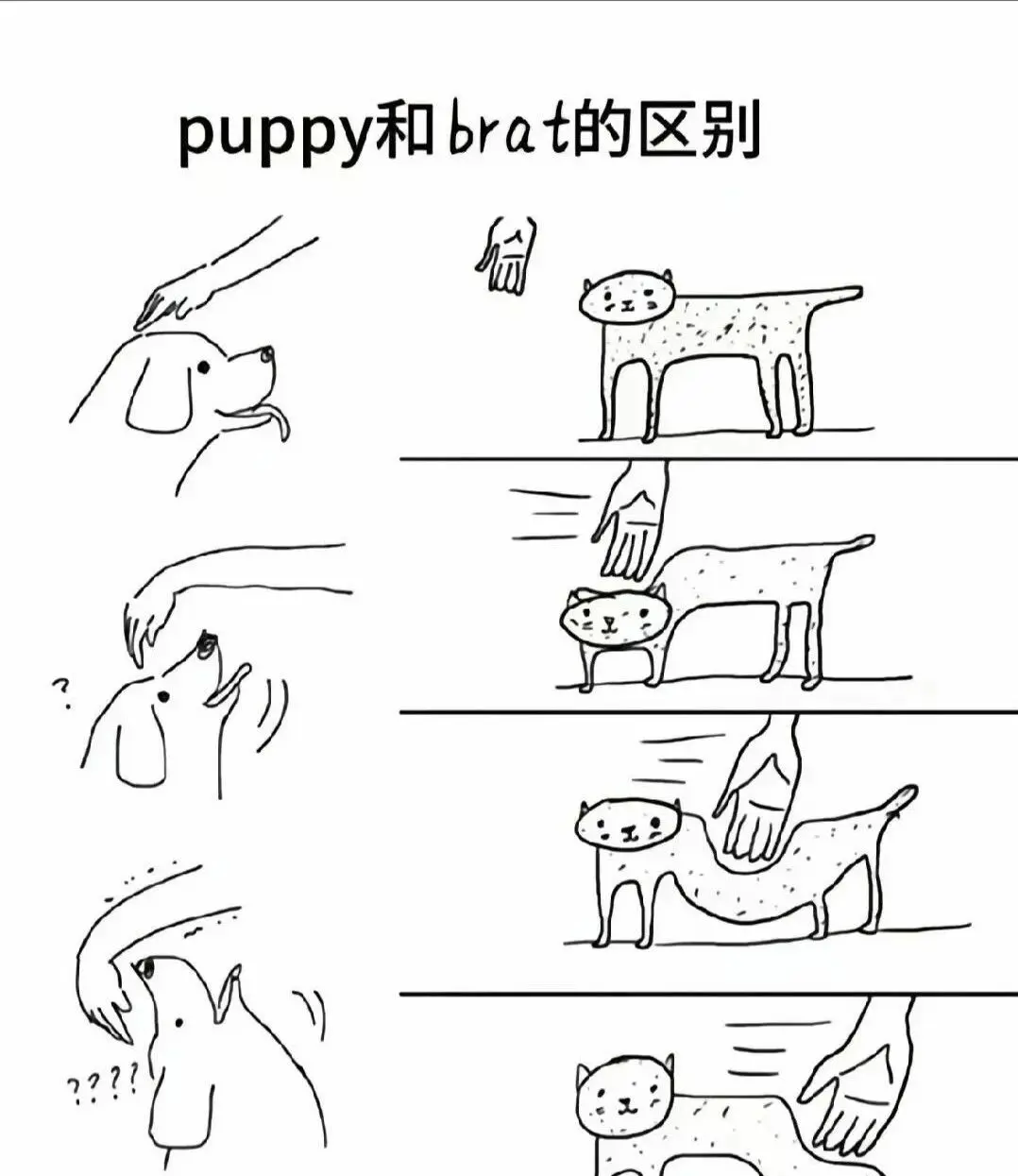 西檬之家字母圈“圣水”是什么意思? 一