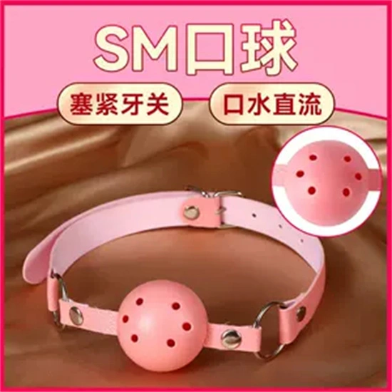 西檬之家SM亚文化入门指南 一