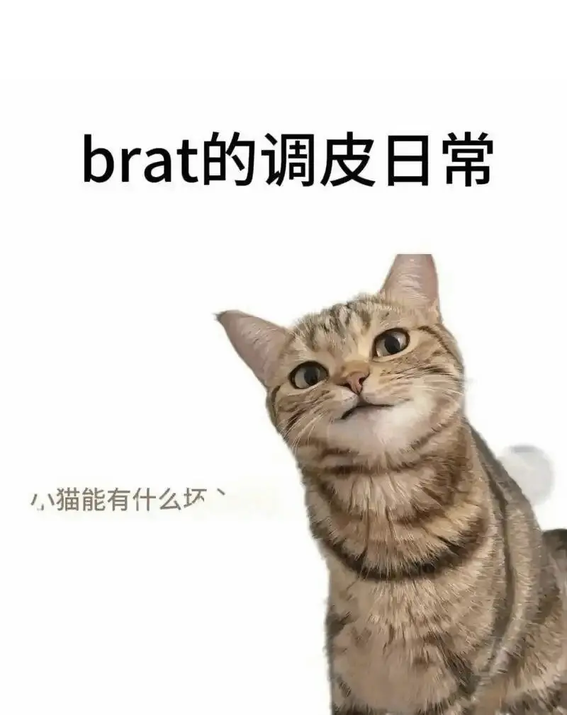 西檬之家s属性是什么意思? 一