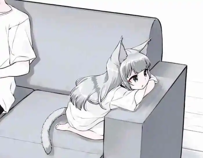 西檬之家sp小圈是什么?你的属性是sp吗? 一