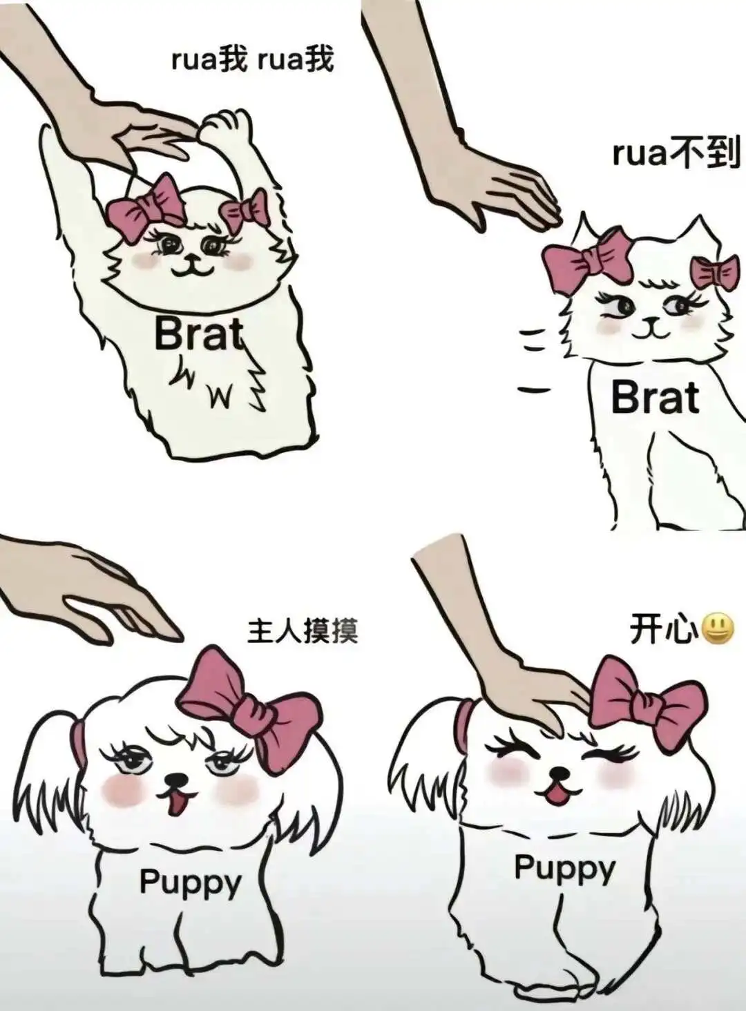 西檬之家DS关系怎么玩?字母圈新人入门 一