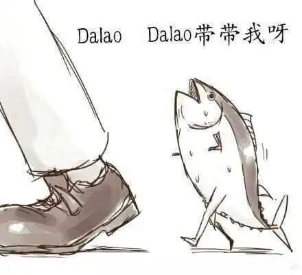 西檬之家DS关系入门指南 一