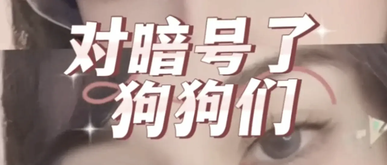 西檬之家Dirty Talk是什么?字母圈新人入圈 一