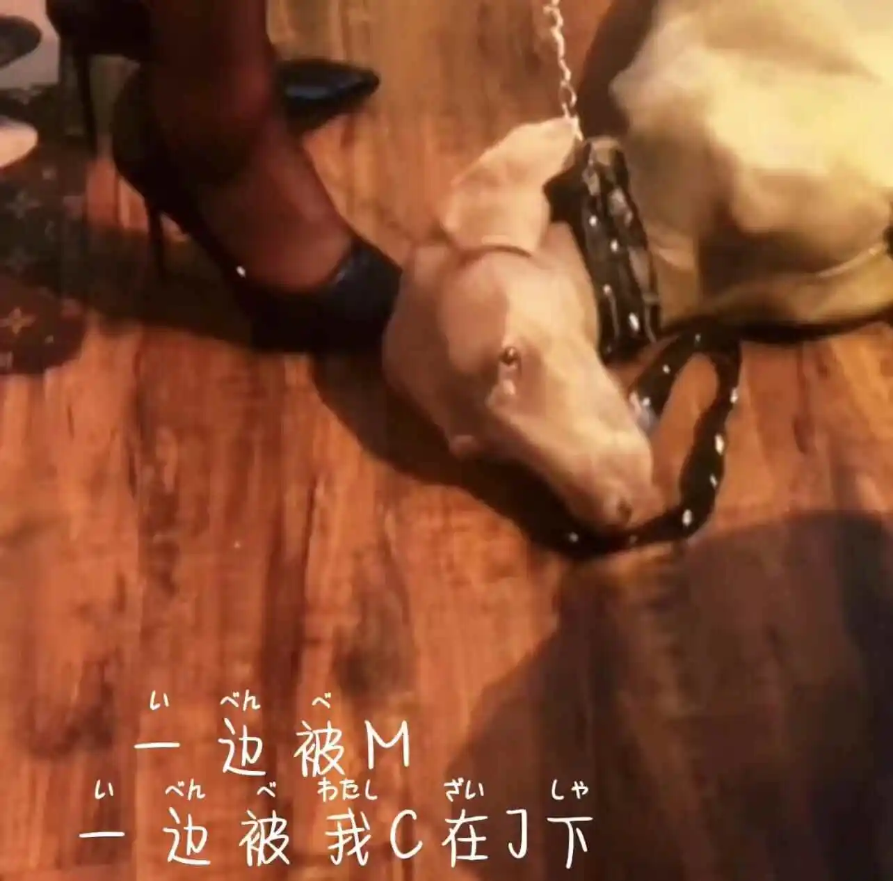 西檬之家Dirty Talk是什么?字母圈新人行吗 一
