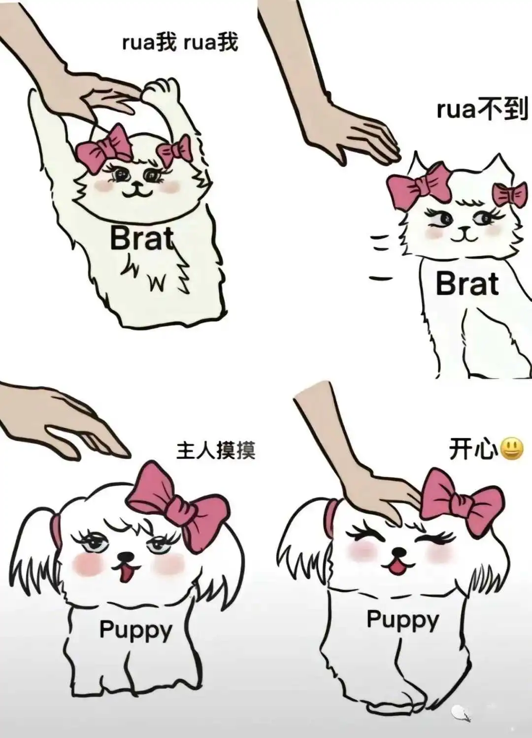 西檬之家K9犬系是什么? 一