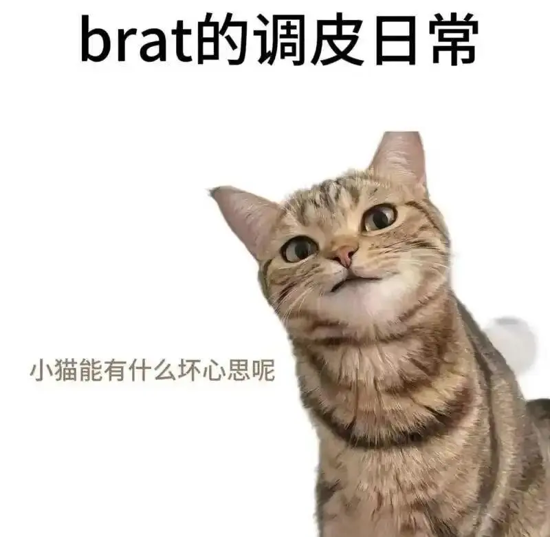 西檬之家BDSM是什么意思? 一