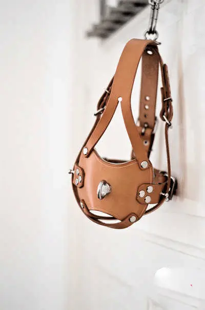 西檬之家M倾向是什么?字母圈新人如何理解 一